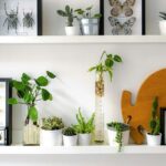 Vertical Space