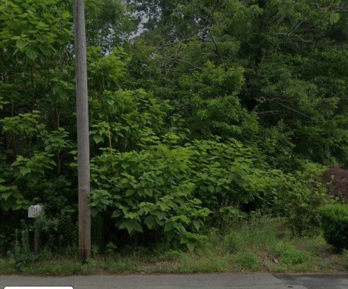 O Tremont Rehoboth[1]