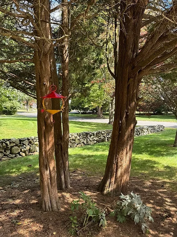 e848eb865a1cd04ed86b676bd9cab717-uncropped_scaled_within_1536_1152