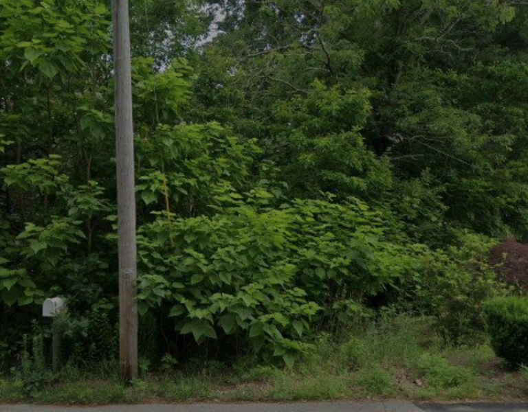 O Tremont Rehoboth[1]